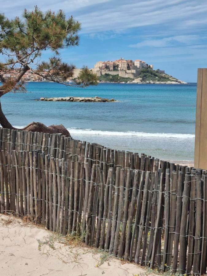 T2 Calvi Entierement Equipe A 150M De La Plage. Zewnętrze zdjęcie